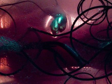 《黑客帝国》觉醒与抗争：尼奥的矩阵革命