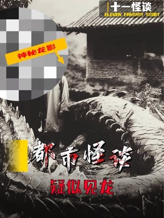 龙影谜踪：穿越时空的未解之谜