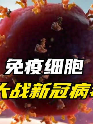 免疫之战：发烧背后的身体密码