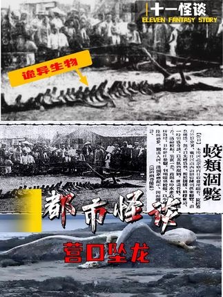 营口坠龙之谜