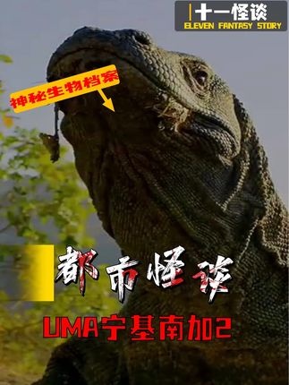 冈比亚沼泽的龙影谜踪