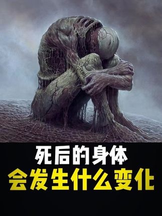 生命终章：死亡24小时全解析