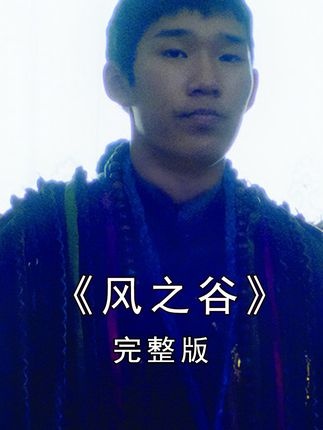 风之谷：爱与勇气的自然诗篇