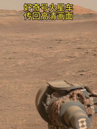 暗夜追凶：迷雾中的真相