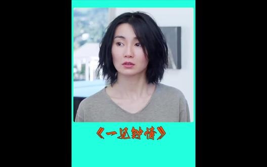 《一见钟情》离异少妇与天才程序员的旧金山情缘