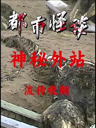 神秘微笑背后的真相