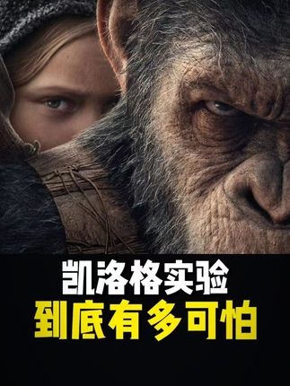 猩猩实验背后的伦理悲剧