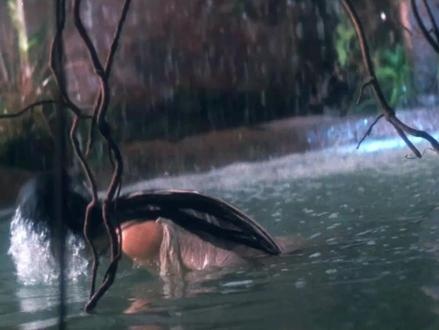 《白发魔女传》白发幽昙情未了