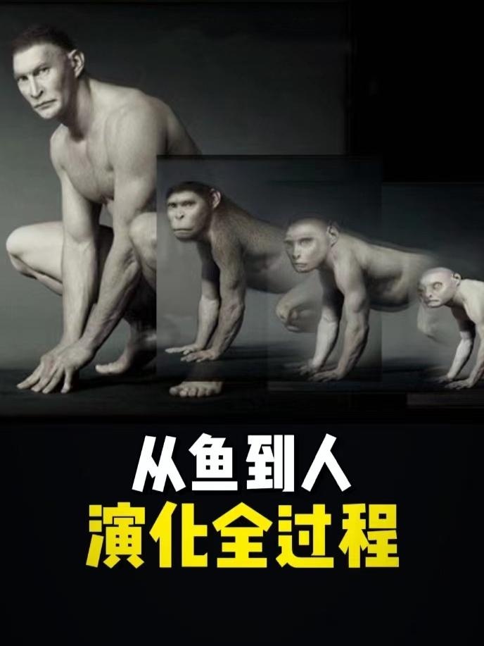 深海迷航：失落之城的终极探险