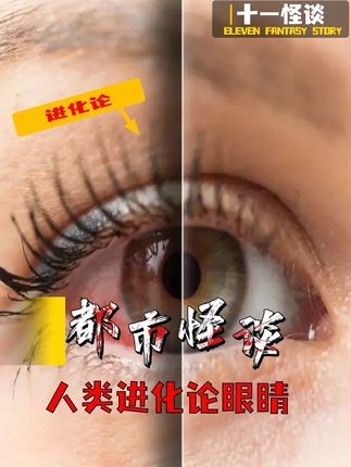 眼睛进化之谜：神创论与进化论的千古博弈