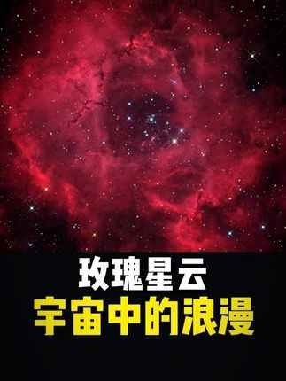 宇宙玫瑰：星辰生死与生命轮回