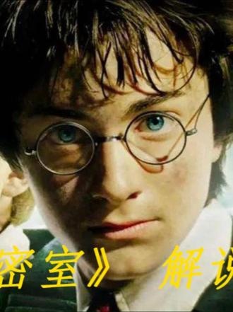 《哈利·波特与密室》哈利波特与密室：重返魔法世界的惊险之旅