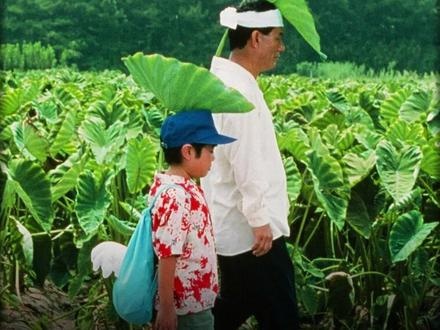 夏日治愈之旅：菊次郎与男孩