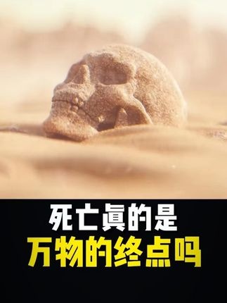 宇宙万物的生死真相