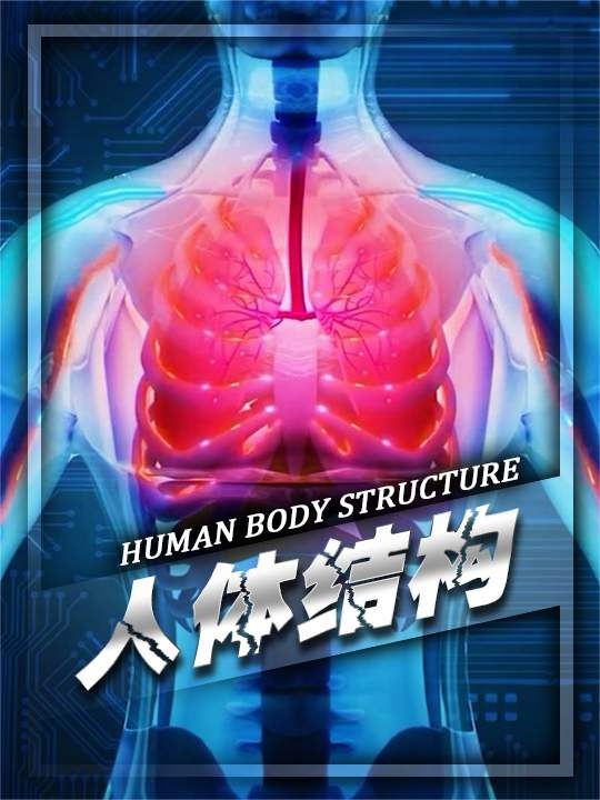 百年守望，此心安处