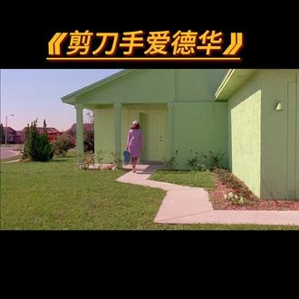 剪刀手爱德华的冰雪之恋