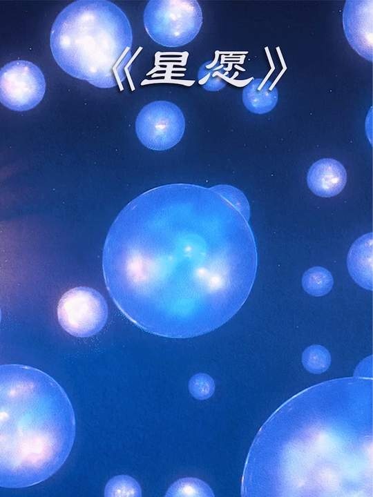《星愿》魔法奇缘：心愿之光