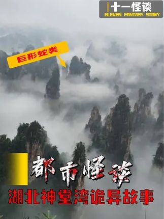 神堂湾禁区探秘：千年巨蟒与古墓之谜