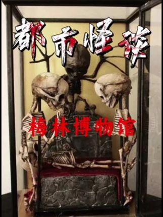 神秘梅林博物馆探秘