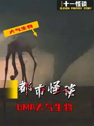 大气生物之谜：云端巨兽的未解传说