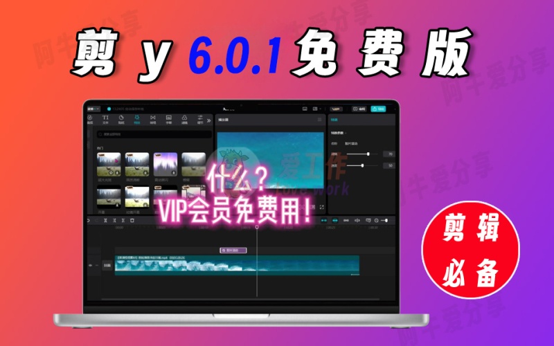 最新v!p版，字幕识别功能还是免费的，阿牛常用版本