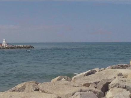 《大白鲨》大白鲨：深海恐惧与影史奇迹