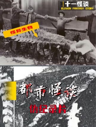 全球未解之谜全揭秘