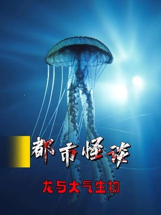 天空秘影：大气生物传说探秘
