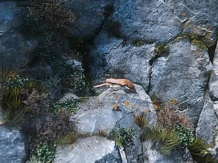 孤山秘宝：巨龙与矮人的史诗之战