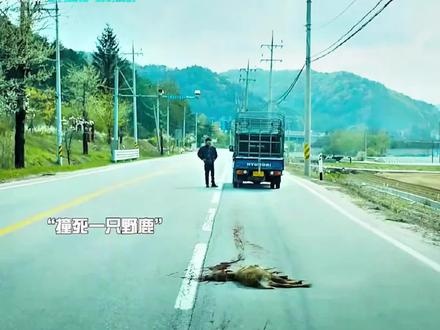 釜山行：末日列车上的生死考验