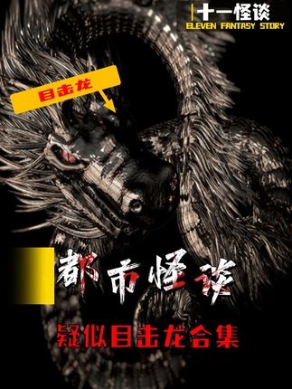 龙影迷踪：古今未解之谜