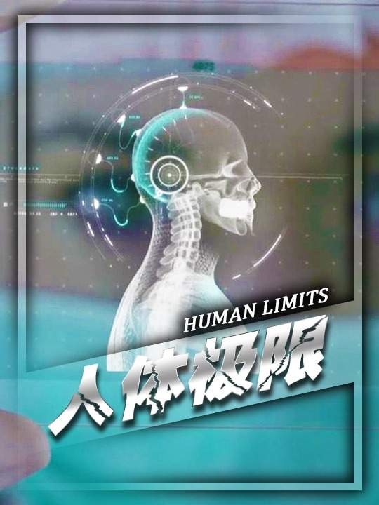 人体四大生命极限全解析