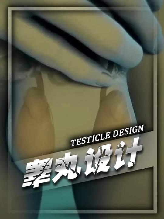 人类睾丸设计的奇妙之处
