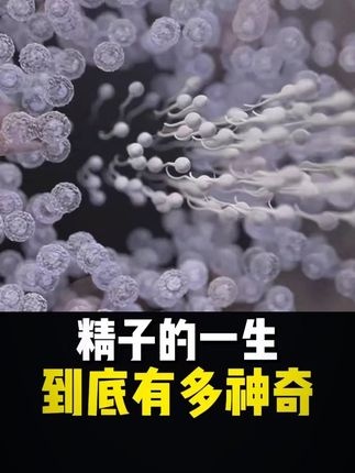 生命竞赛的终极胜者