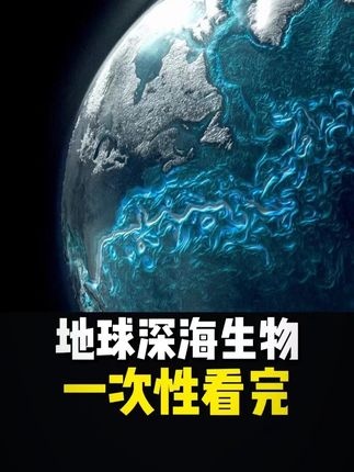 荒野独居：挑战极限生存的90天