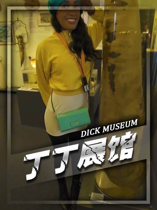 探秘冰岛丁丁博物馆