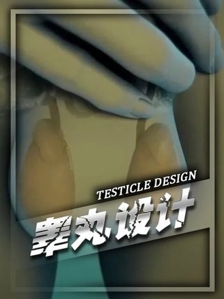 睾丸外挂之谜：人体设计的精妙温度调控系统