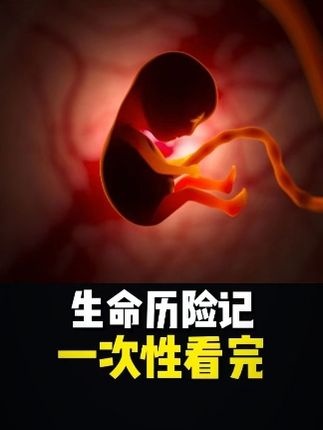 追梦人生路