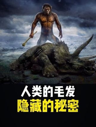 人类毛发演化与护发科技新篇章