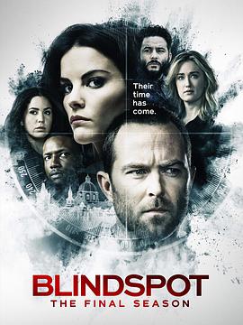盲点 第五季 Blindspot Season 5_剧集