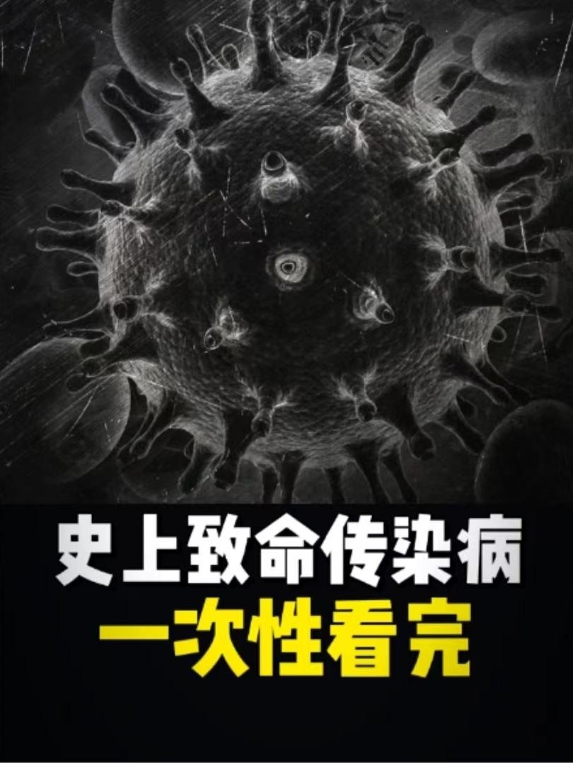 穿越时光的父子羁绊