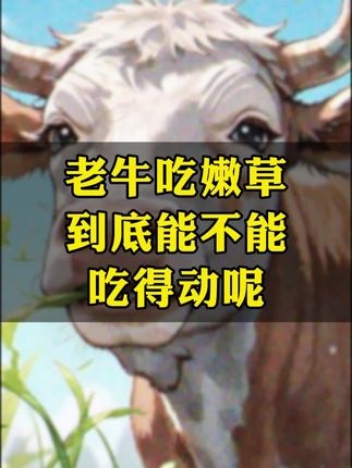 老牛吃嫩草的千古奇缘