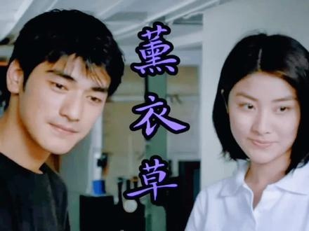 《薰衣草》天使坠落人间，爱让心灵重获新生