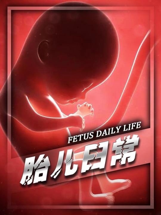 胎儿在子宫内的奇妙世界