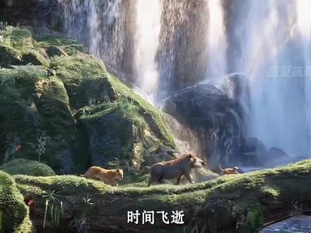 《狮子王》（1994）辛巴归途：荣耀之王的觉醒与救赎