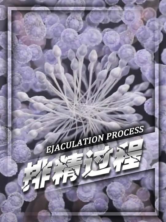男性生命的精密释放