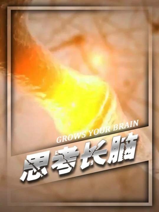 思考时的大脑如何变得更聪明