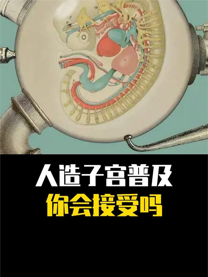 人造子宫时代：生育革命的前夜
