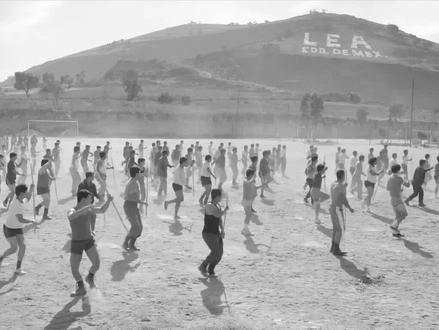 《罗马》：女佣视角下的时代悲歌