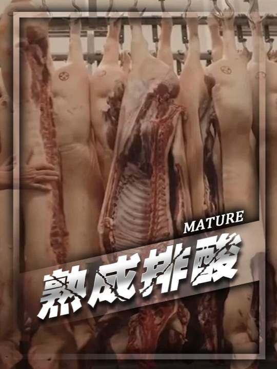 尸僵与排酸：解密肉品软嫩的科学